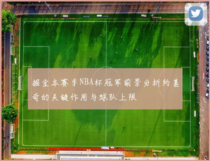 掘金本赛季NBA杯冠军前景分析约基奇的关键作用与球队上限