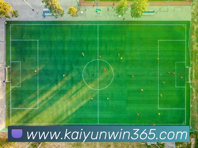 开云体育APP 高清赛事图